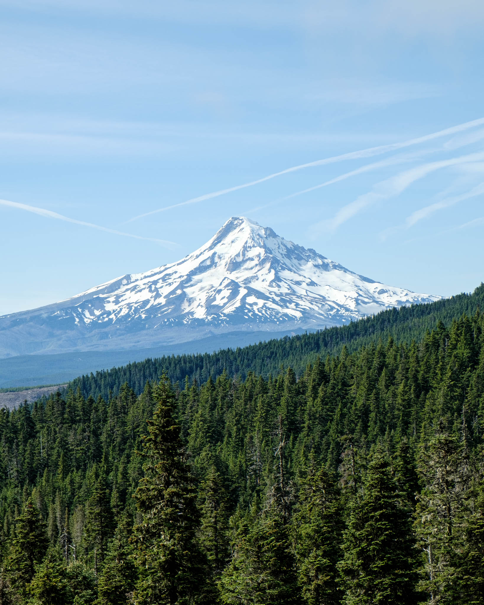 Mt. Hood rises in the distance, framed by contrails in the sky and thick forest in the foreground.
